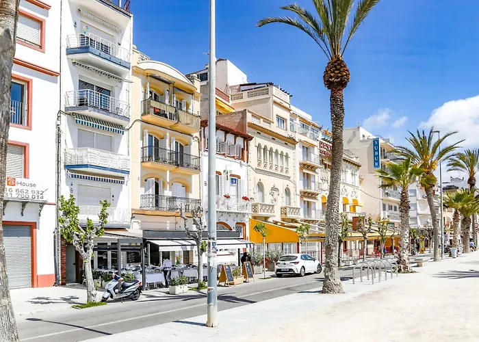 Cozy On The Front Line, Liliane سيدجيس